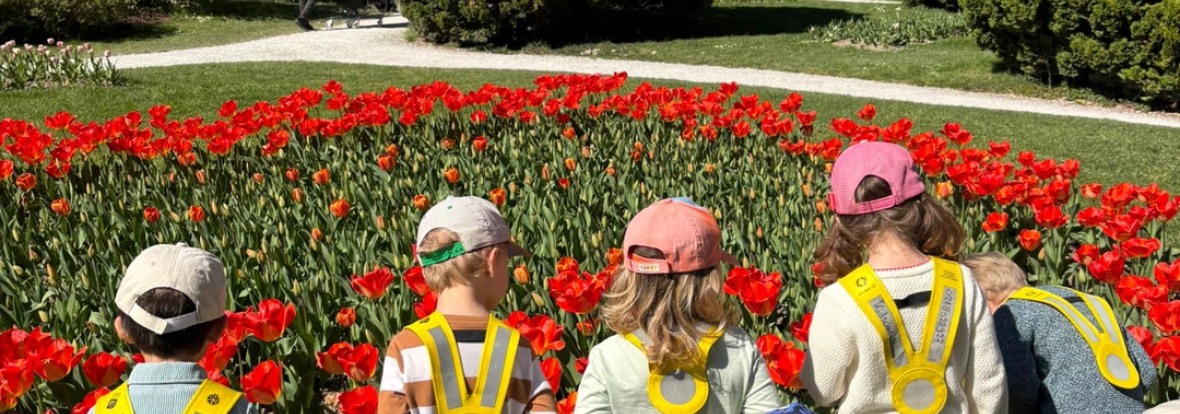 Morges Fête de la tulipe